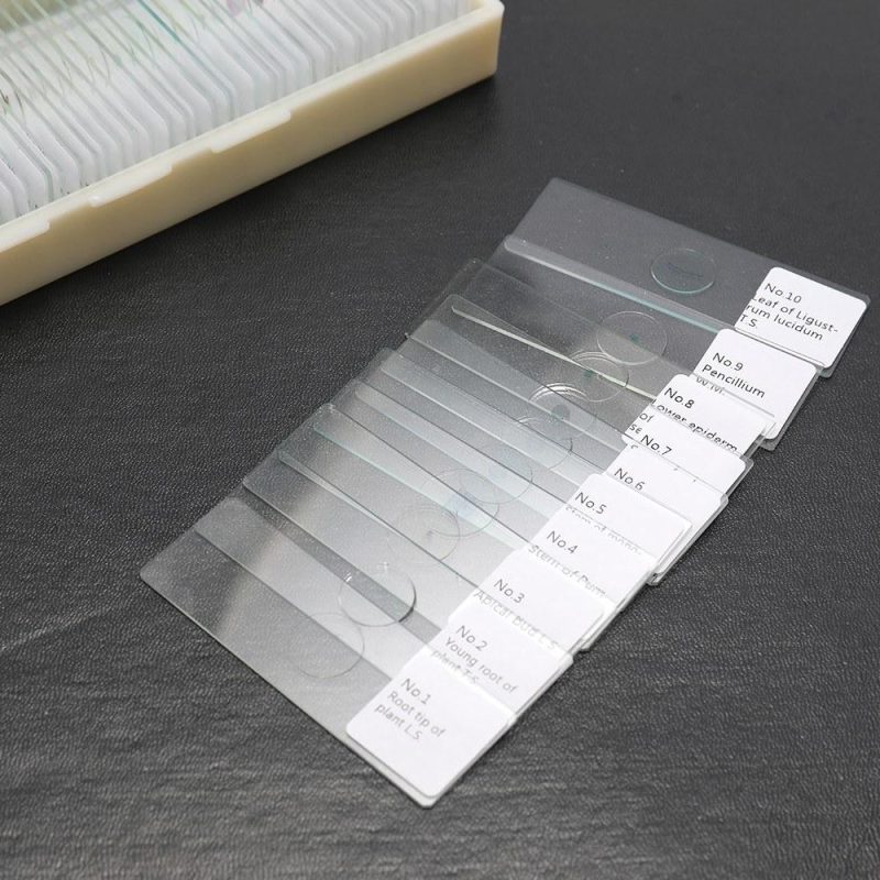 100PCS/Set Biological Glass Sample Prepared Basic Animal Plants Insects Tissues Science Specimen Cover Slips Portable Educational Microscope Slides  |   Microscopes & Endoscope Measurement & Analysis Instruments Microscopes & Endoscope