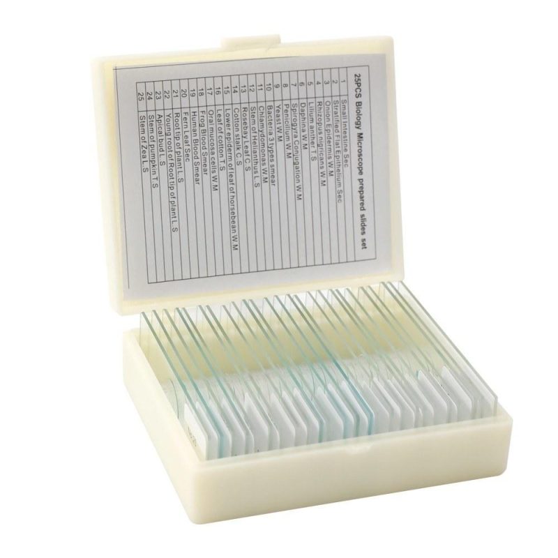 25PCS/Set Biological Glass Sample Prepared Basic Animal Plants Insects Tissues Science Specimen Cover Slips Portable Educational Microscope Slides  |   Microscopes & Endoscope Measurement & Analysis Instruments Microscopes & Endoscope