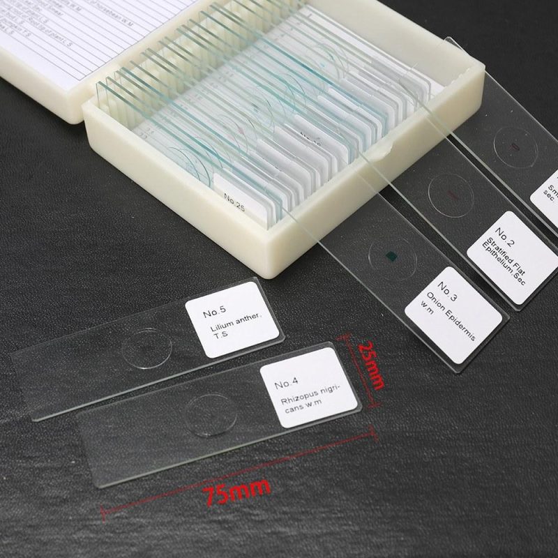 25PCS/Set Biological Glass Sample Prepared Basic Animal Plants Insects Tissues Science Specimen Cover Slips Portable Educational Microscope Slides  |   Microscopes & Endoscope Measurement & Analysis Instruments Microscopes & Endoscope