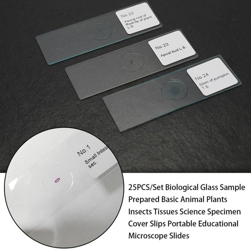 25PCS/Set Biological Glass Sample Prepared Basic Animal Plants Insects Tissues Science Specimen Cover Slips Portable Educational Microscope Slides  |   Microscopes & Endoscope Measurement & Analysis Instruments Microscopes & Endoscope