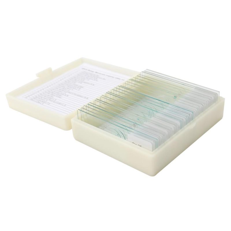 25PCS/Set Biological Glass Sample Prepared Basic Animal Plants Insects Tissues Science Specimen Cover Slips Portable Educational Microscope Slides  |   Microscopes & Endoscope Measurement & Analysis Instruments Microscopes & Endoscope