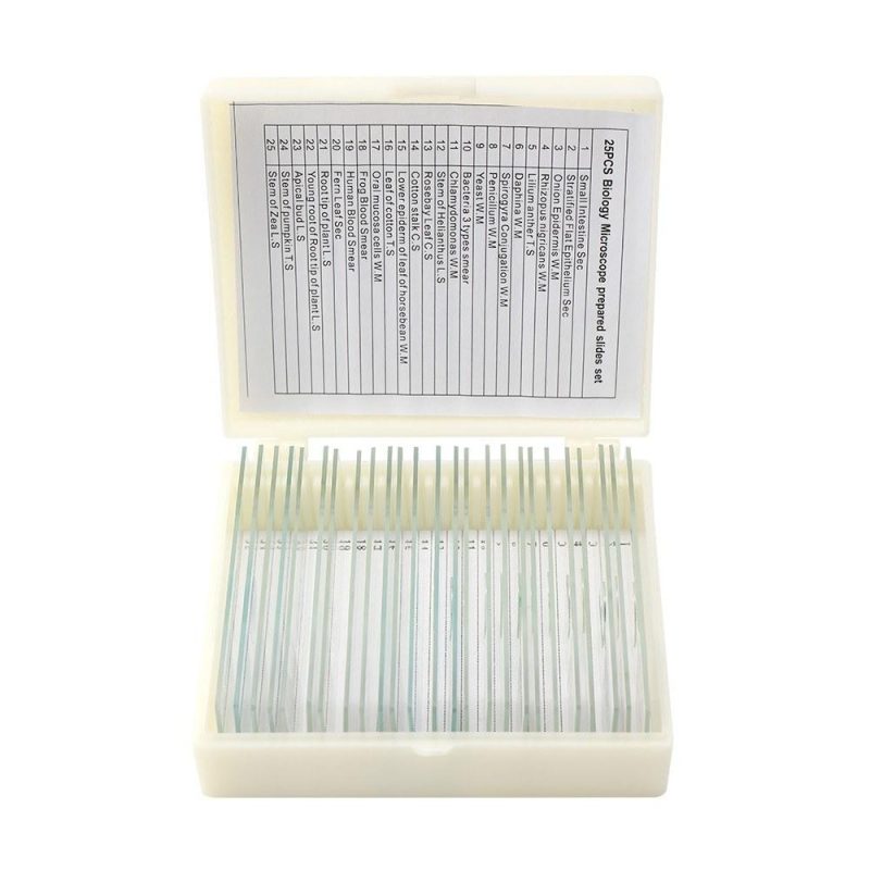 25PCS/Set Biological Glass Sample Prepared Basic Animal Plants Insects Tissues Science Specimen Cover Slips Portable Educational Microscope Slides  |   Microscopes & Endoscope Measurement & Analysis Instruments Microscopes & Endoscope