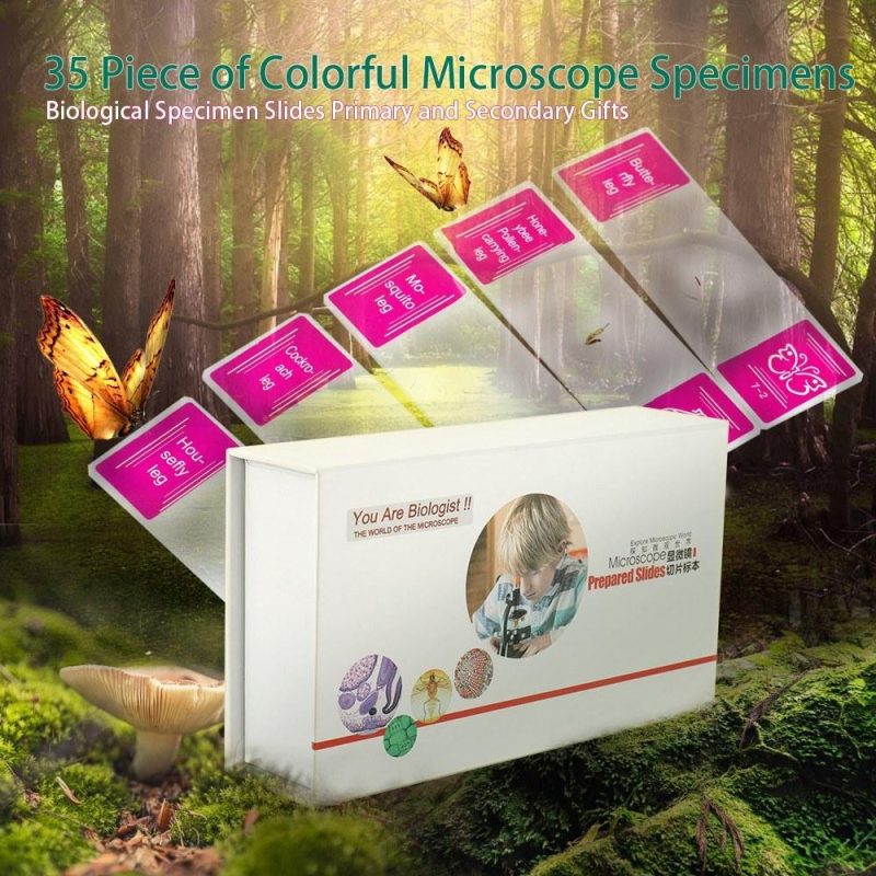 35 Piece of Colorful Microscope Specimens Biological Specimen Slides Primary and Secondary Gifts  |   Microscopes & Endoscope Measurement & Analysis Instruments Microscopes & Endoscope