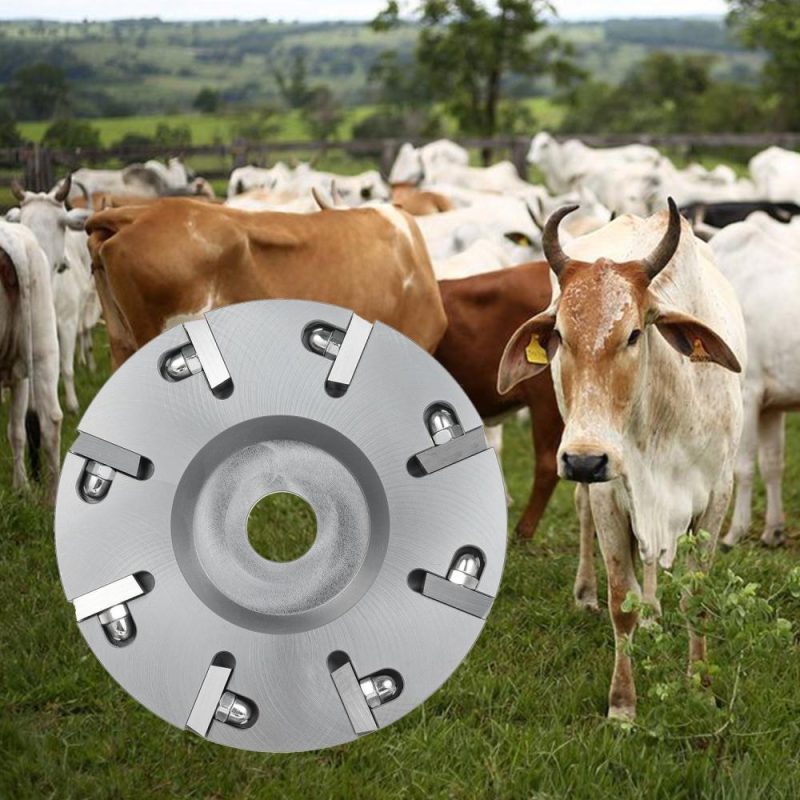 Livestock Hoof Trimming Disc Electric Metal Hoof Nipper Knife Tool Livestock Sheep Cattles Horses Cow Hoof Trimming Grinding Disc Plate with 8 Blades  |   Power Tool Parts Power & Electrical Tools Power Tool Parts