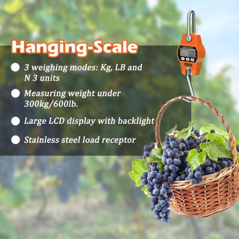 Mini LCD Digital 300kg Portable Industrial Electronic Heavy Duty Weight Hook Crane Hanging Scale  |   Digital Scales Digital Scales Digital Scales