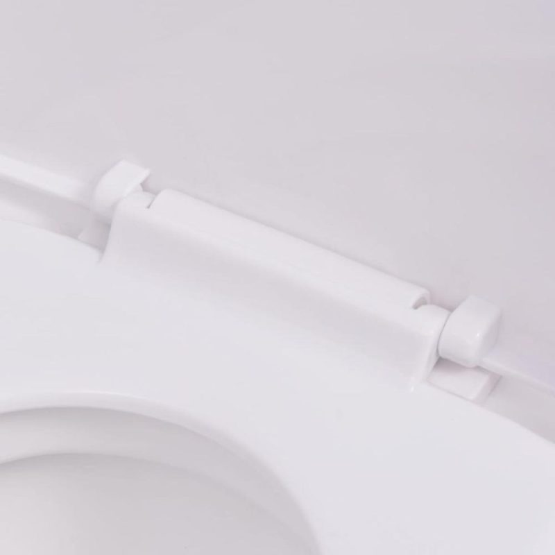 Wall-mounted toilet ceramic white  |   Others Others Others