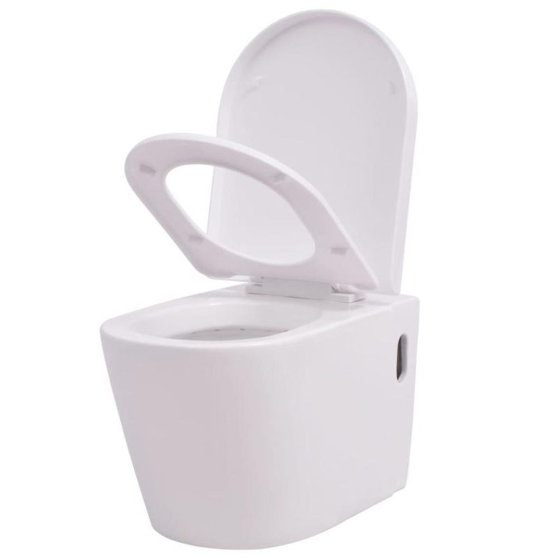 Wall-mounted toilet ceramic white  |   Others Others Others