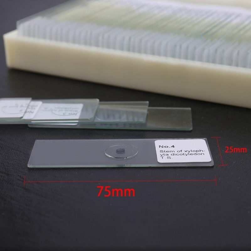 50PCS/Set Biological Glass Sample Prepared Basic Animal Plants Insects Tissues Science Specimen Cover Slips Portable Educational Microscope Slides  |   Microscopes & Endoscope Measurement & Analysis Instruments Microscopes & Endoscope