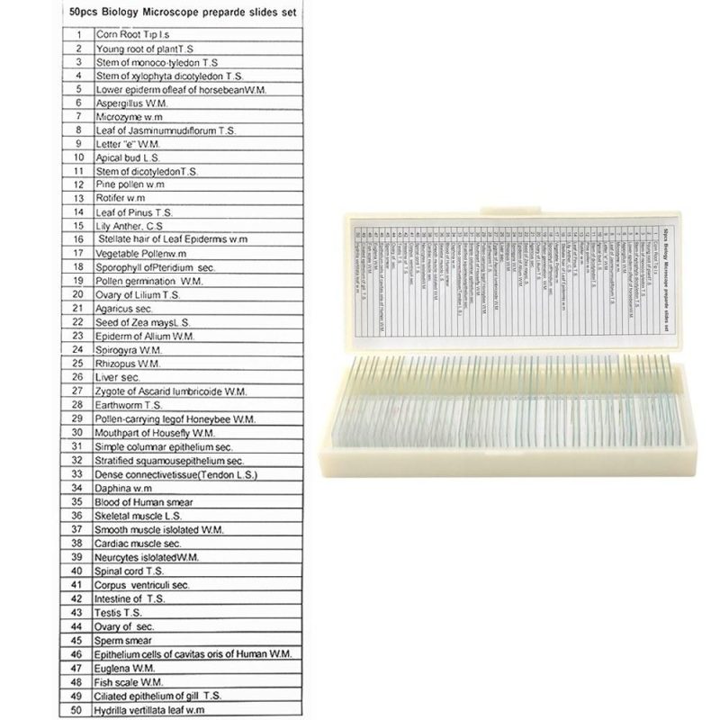 50PCS/Set Biological Glass Sample Prepared Basic Animal Plants Insects Tissues Science Specimen Cover Slips Portable Educational Microscope Slides  |   Microscopes & Endoscope Measurement & Analysis Instruments Microscopes & Endoscope