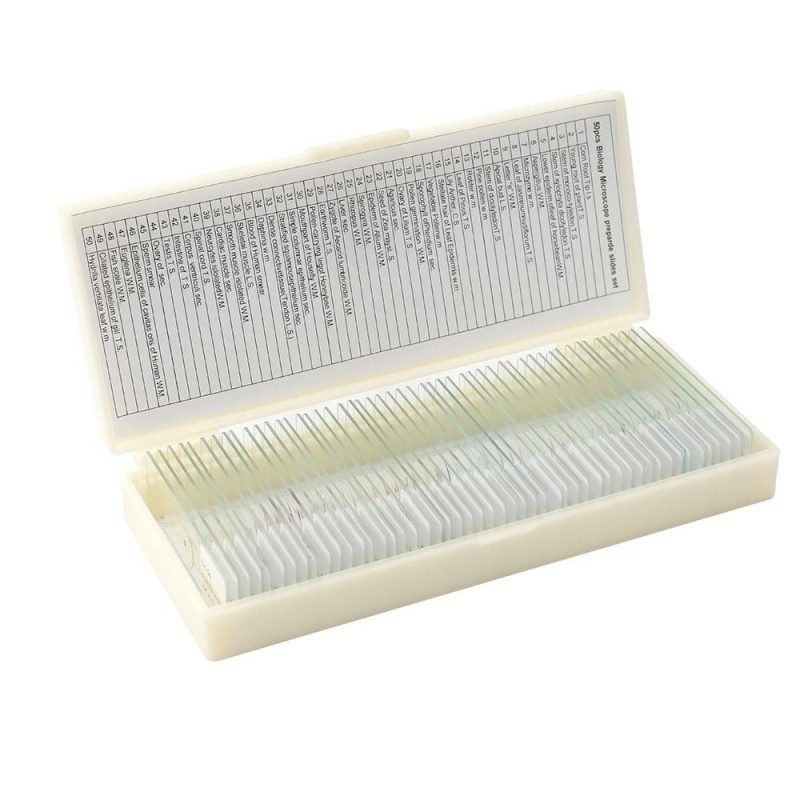 50PCS/Set Biological Glass Sample Prepared Basic Animal Plants Insects Tissues Science Specimen Cover Slips Portable Educational Microscope Slides  |   Microscopes & Endoscope Measurement & Analysis Instruments Microscopes & Endoscope