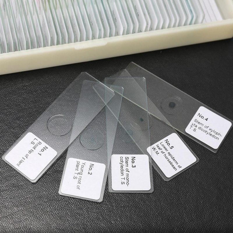 50PCS/Set Biological Glass Sample Prepared Basic Animal Plants Insects Tissues Science Specimen Cover Slips Portable Educational Microscope Slides  |   Microscopes & Endoscope Measurement & Analysis Instruments Microscopes & Endoscope