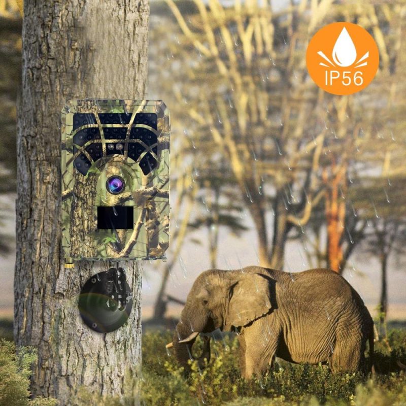 Digital Trail Camera 12MP HD Hunting & Trail Camera Motion Activated Night Infrared Vision Waterproof 46pcs IR Lights for Outdoor Wild Hunting Home Security Animal Observation Game  |   Microscopes & Endoscope Measurement & Analysis Instruments Microscopes & Endoscope